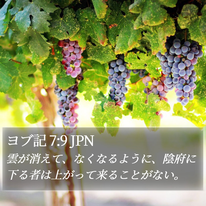 ヨブ記 7:9 JPN Bible Study