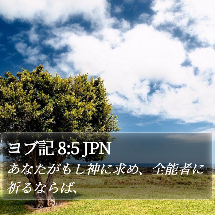 ヨブ記 8:5 JPN Bible Study