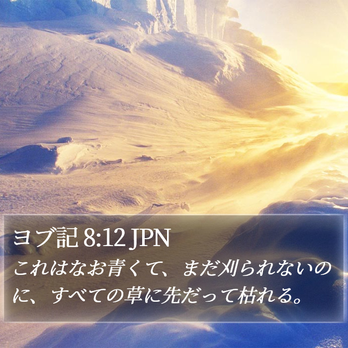 ヨブ記 8:12 JPN Bible Study