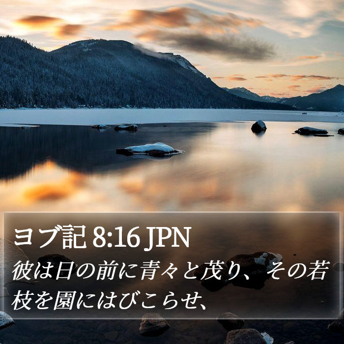 ヨブ記 8:16 JPN Bible Study