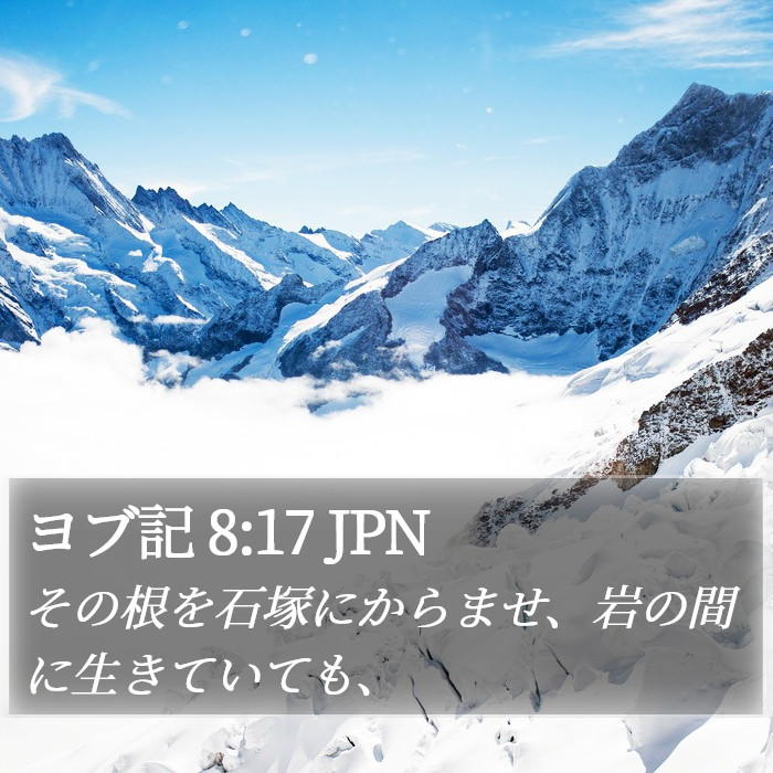 ヨブ記 8:17 JPN Bible Study