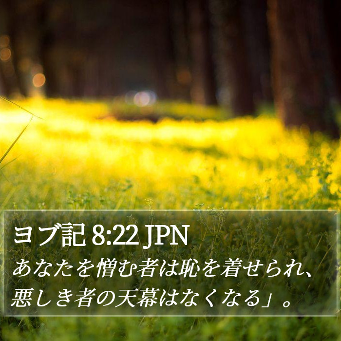 ヨブ記 8:22 JPN Bible Study