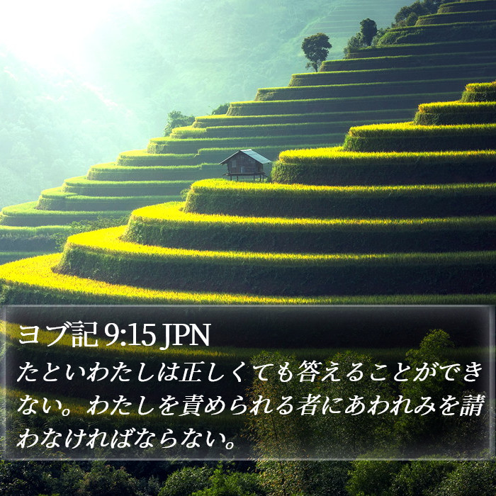ヨブ記 9:15 JPN Bible Study