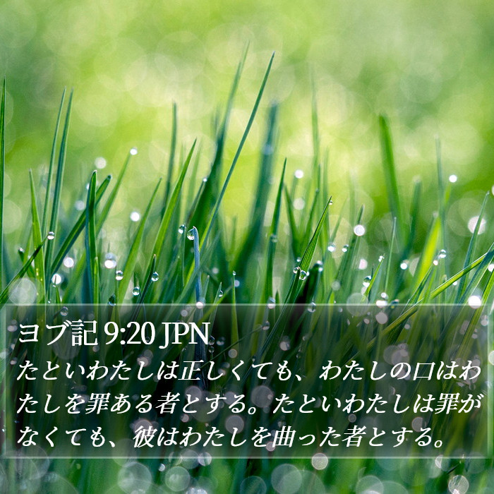ヨブ記 9:20 JPN Bible Study
