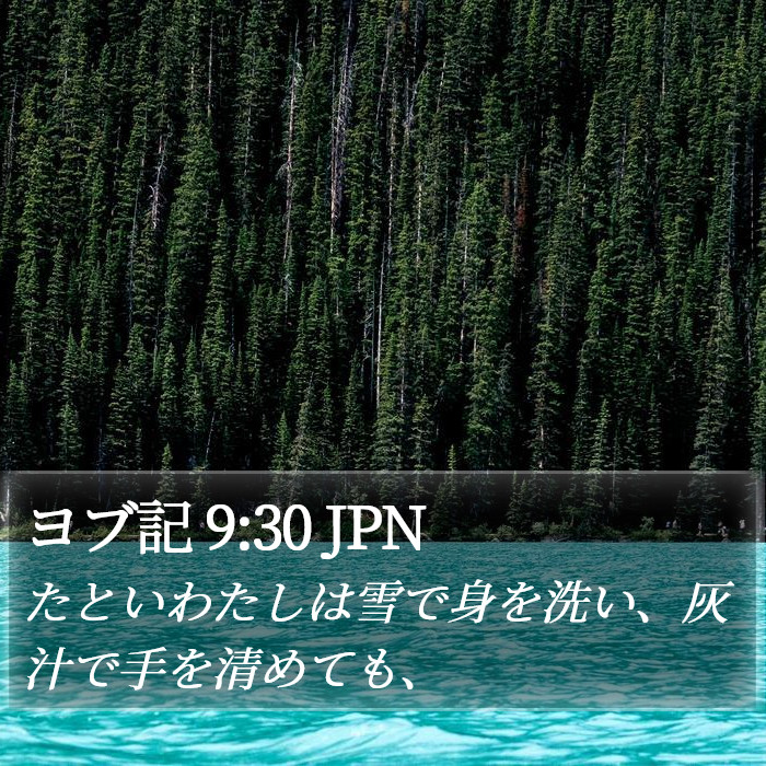 ヨブ記 9:30 JPN Bible Study