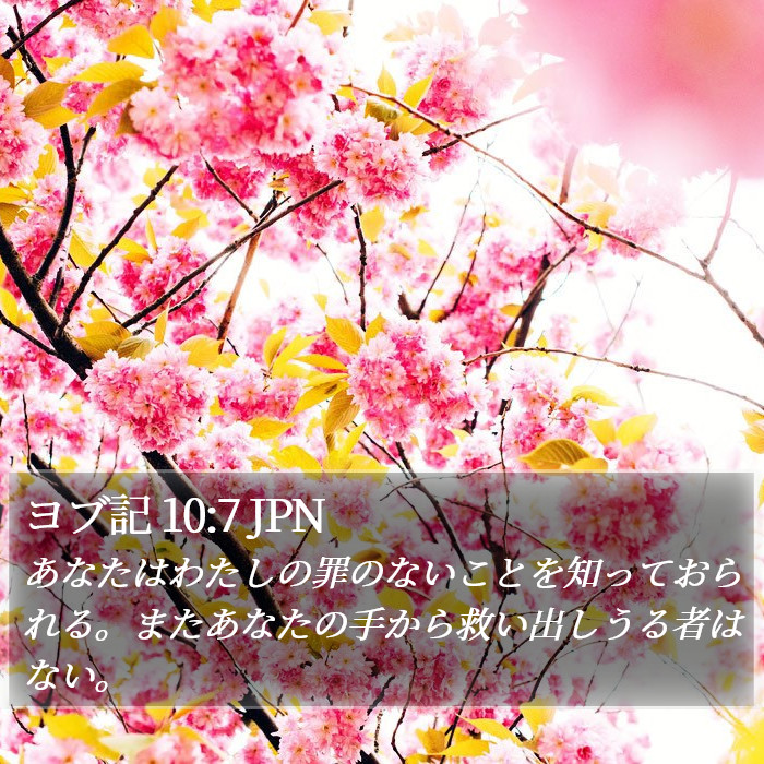 ヨブ記 10:7 JPN Bible Study