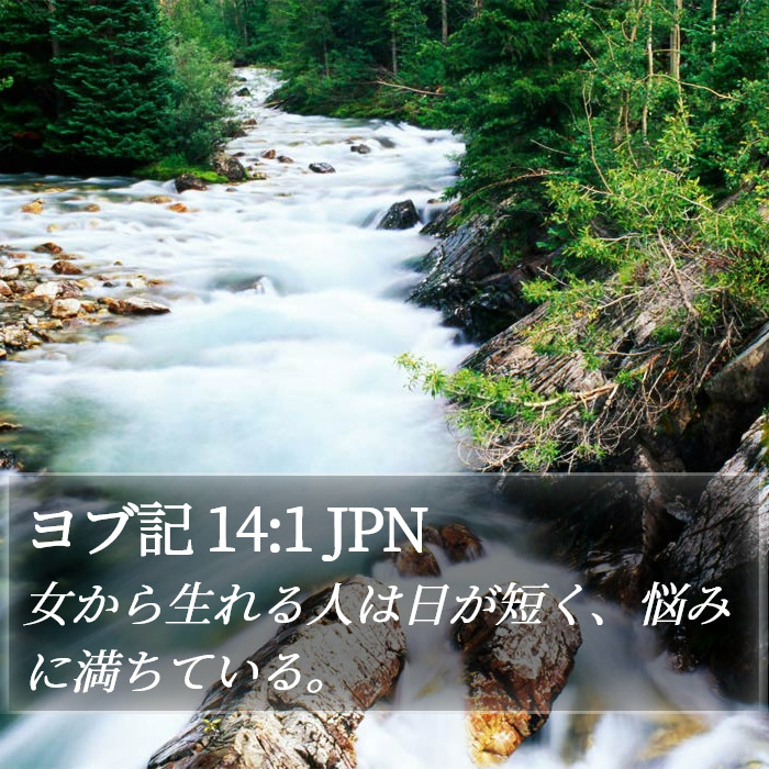 ヨブ記 14:1 JPN Bible Study