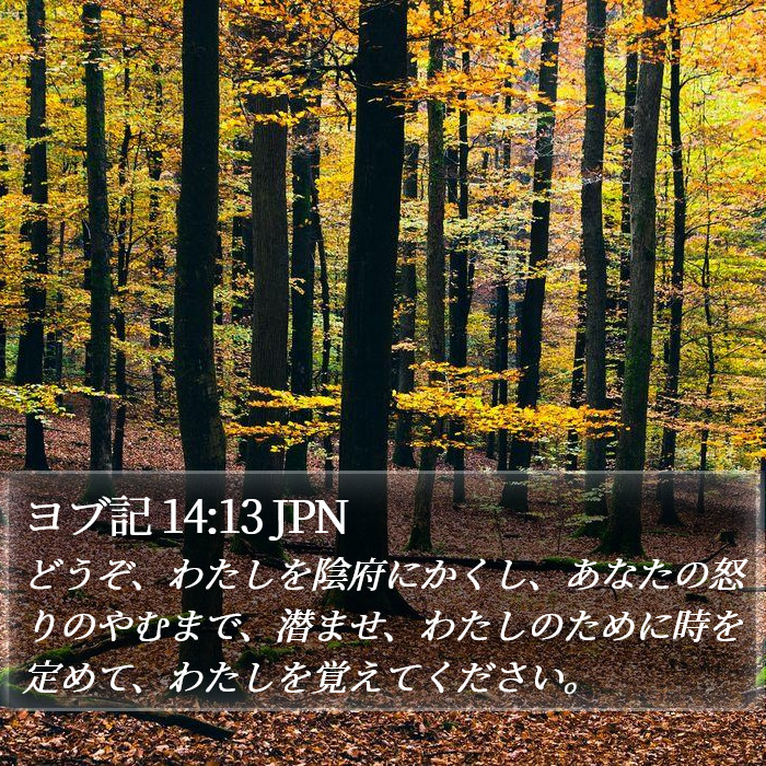 ヨブ記 14:13 JPN Bible Study