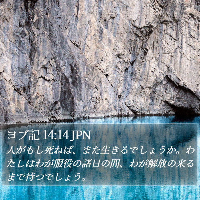 ヨブ記 14:14 JPN Bible Study