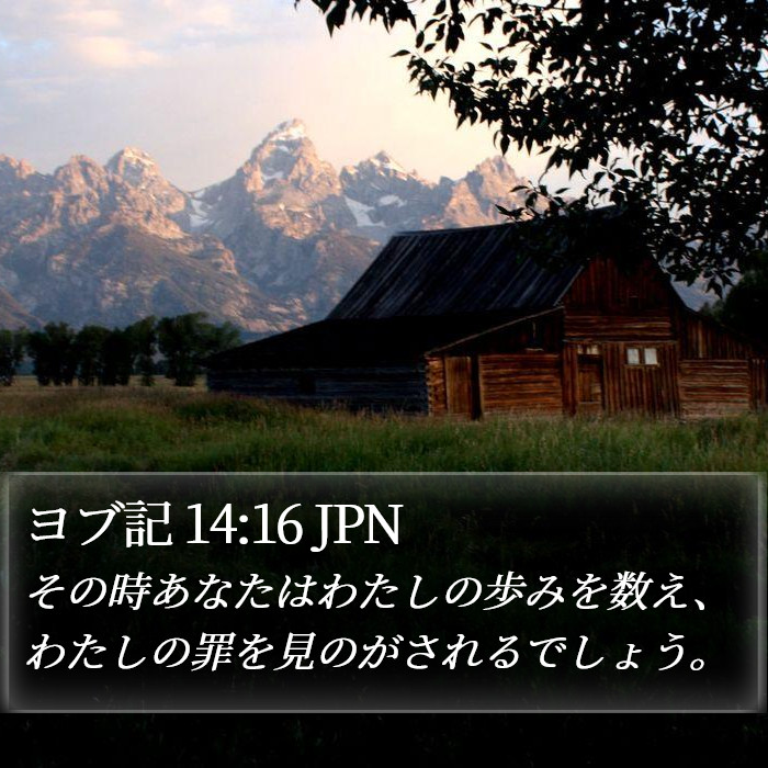 ヨブ記 14:16 JPN Bible Study