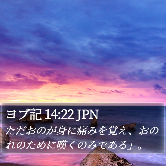 ヨブ記 14:22 JPN Bible Study