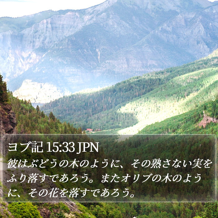 ヨブ記 15:33 JPN Bible Study