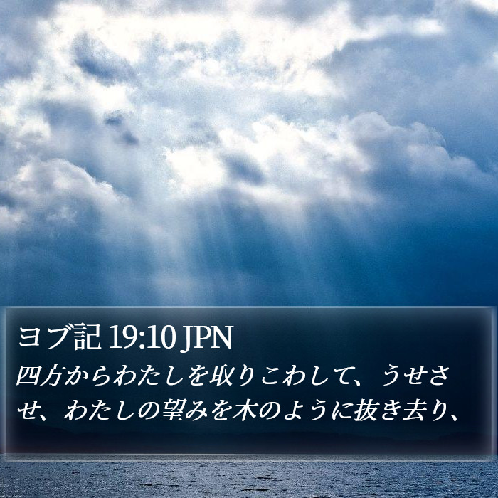 ヨブ記 19:10 JPN Bible Study