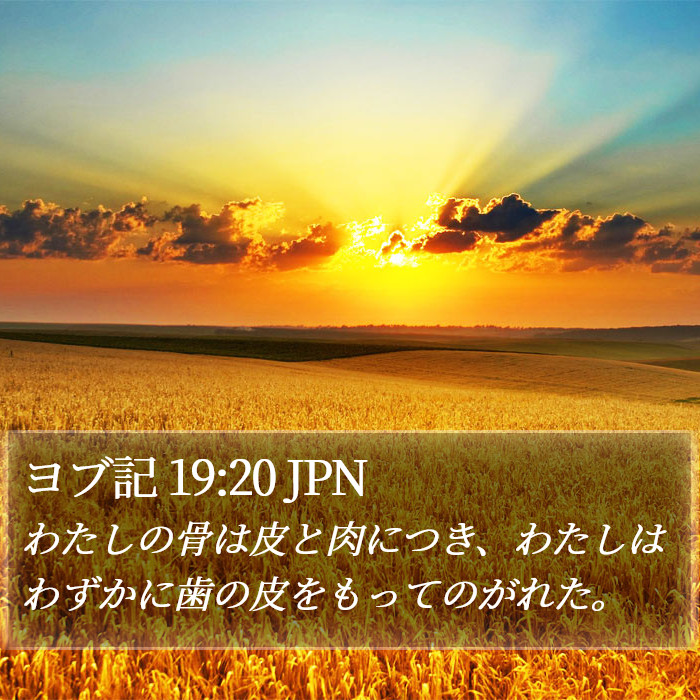 ヨブ記 19:20 JPN Bible Study