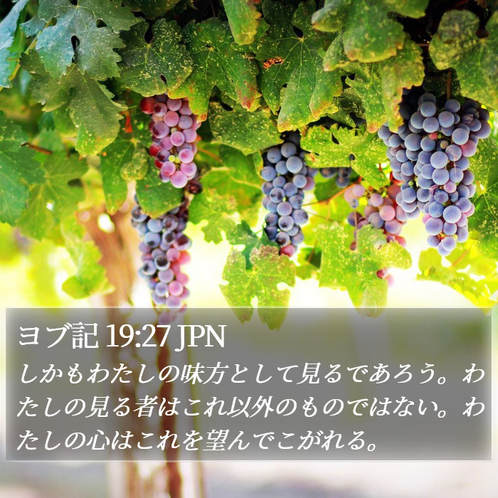 ヨブ記 19:27 JPN Bible Study