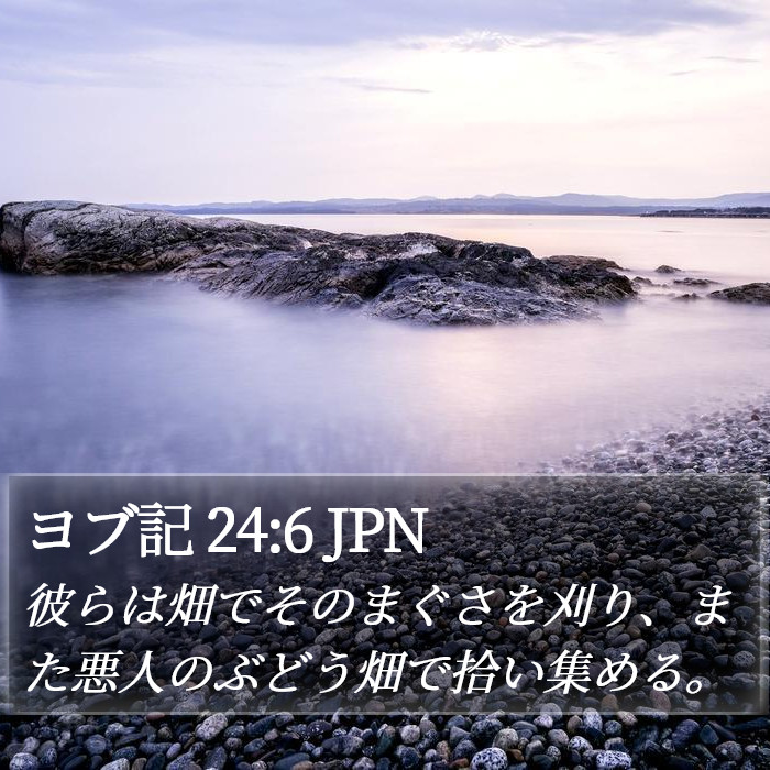 ヨブ記 24:6 JPN Bible Study