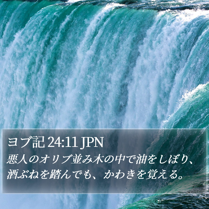 ヨブ記 24:11 JPN Bible Study