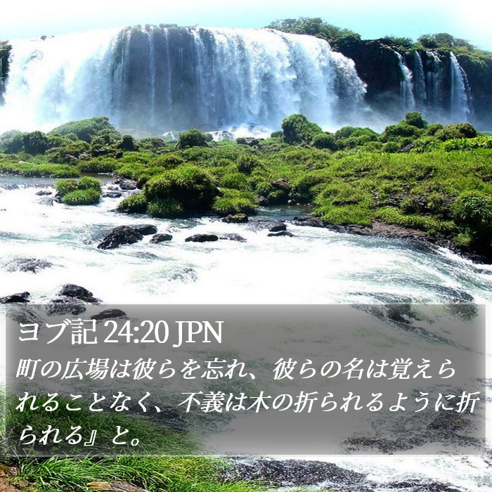 ヨブ記 24:20 JPN Bible Study