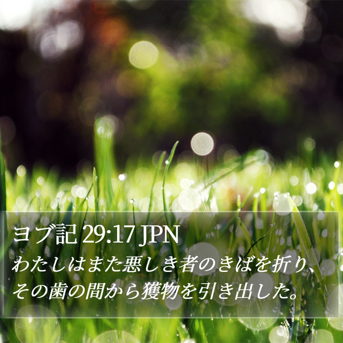 ヨブ記 29:17 JPN Bible Study