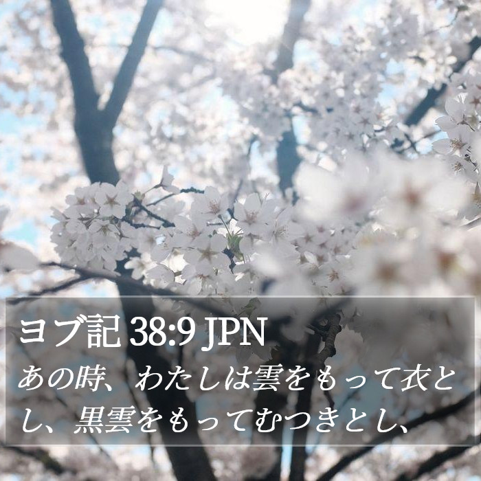 ヨブ記 38:9 JPN Bible Study