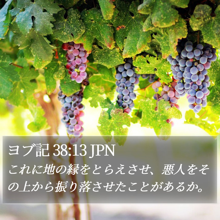 ヨブ記 38:13 JPN Bible Study