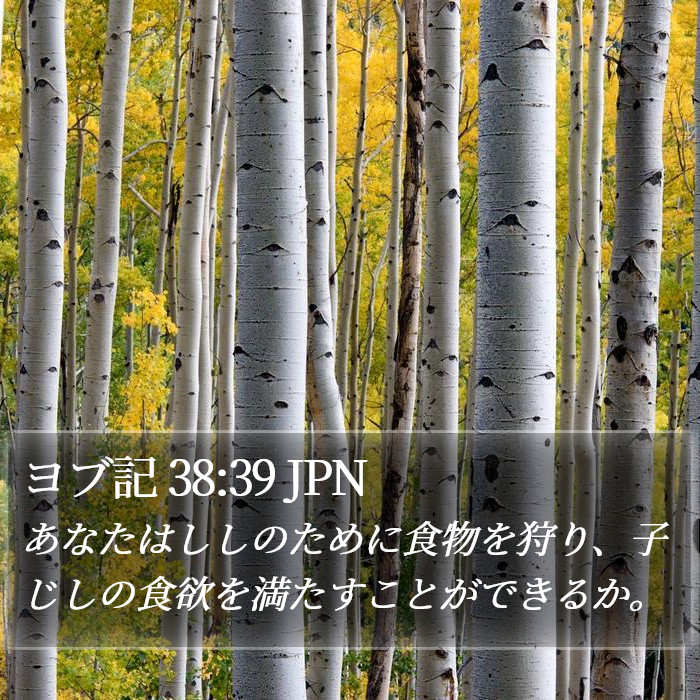 ヨブ記 38:39 JPN Bible Study