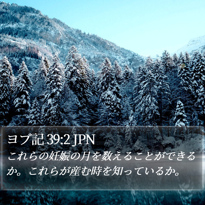 ヨブ記 39:2 JPN Bible Study