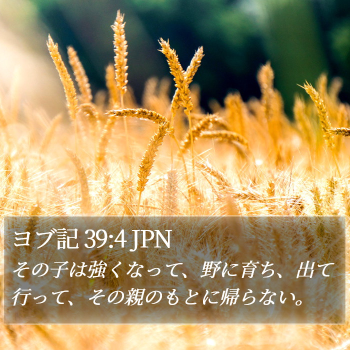 ヨブ記 39:4 JPN Bible Study