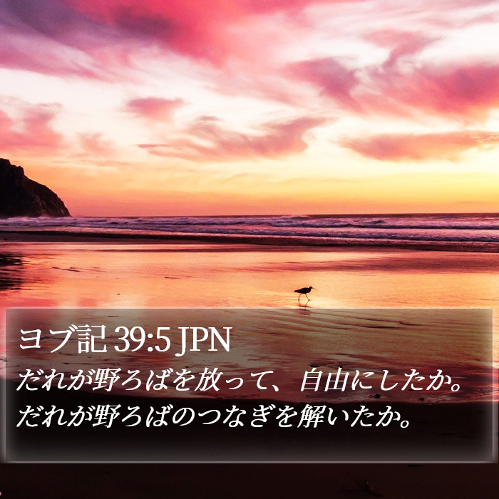 ヨブ記 39:5 JPN Bible Study
