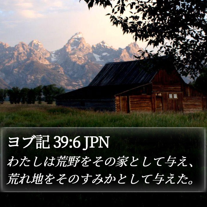 ヨブ記 39:6 JPN Bible Study