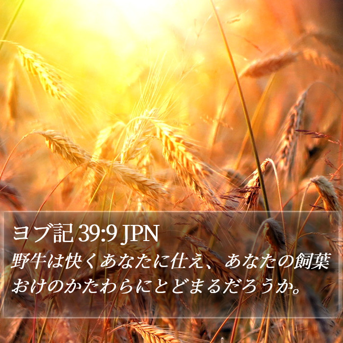 ヨブ記 39:9 JPN Bible Study