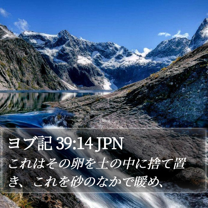 ヨブ記 39:14 JPN Bible Study