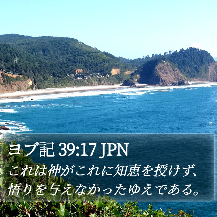 ヨブ記 39:17 JPN Bible Study