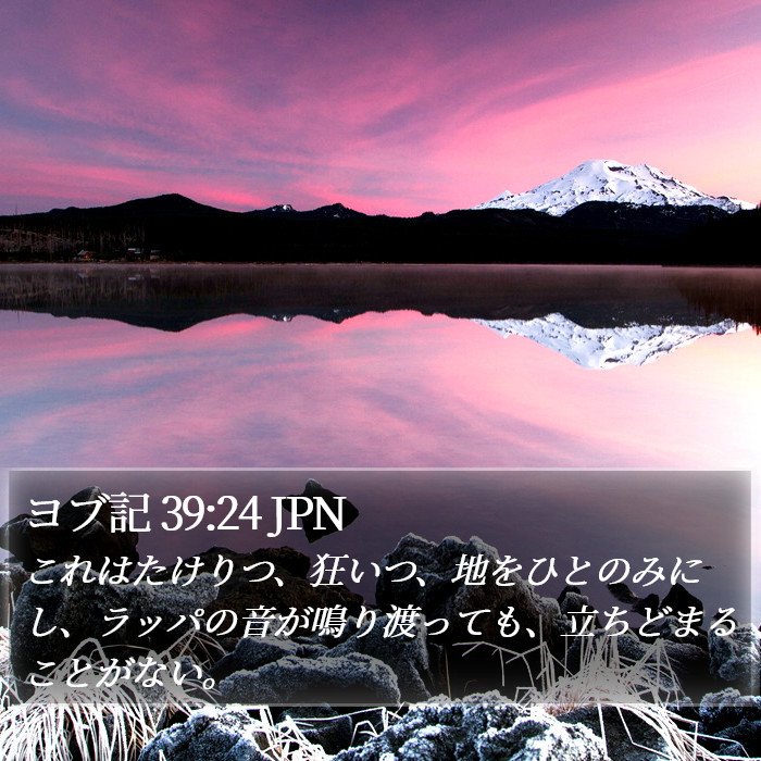 ヨブ記 39:24 JPN Bible Study