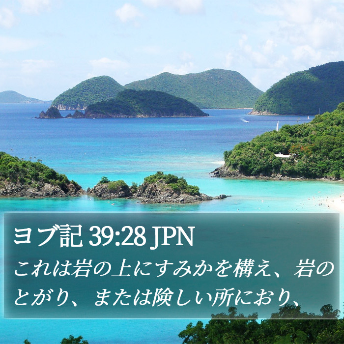 ヨブ記 39:28 JPN Bible Study