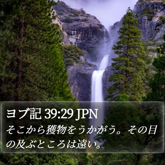 ヨブ記 39:29 JPN Bible Study