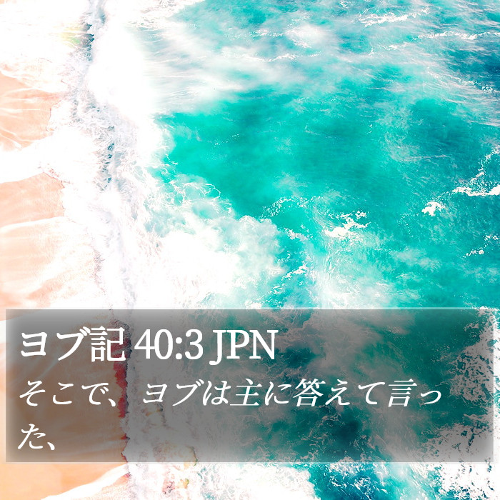 ヨブ記 40:3 JPN Bible Study
