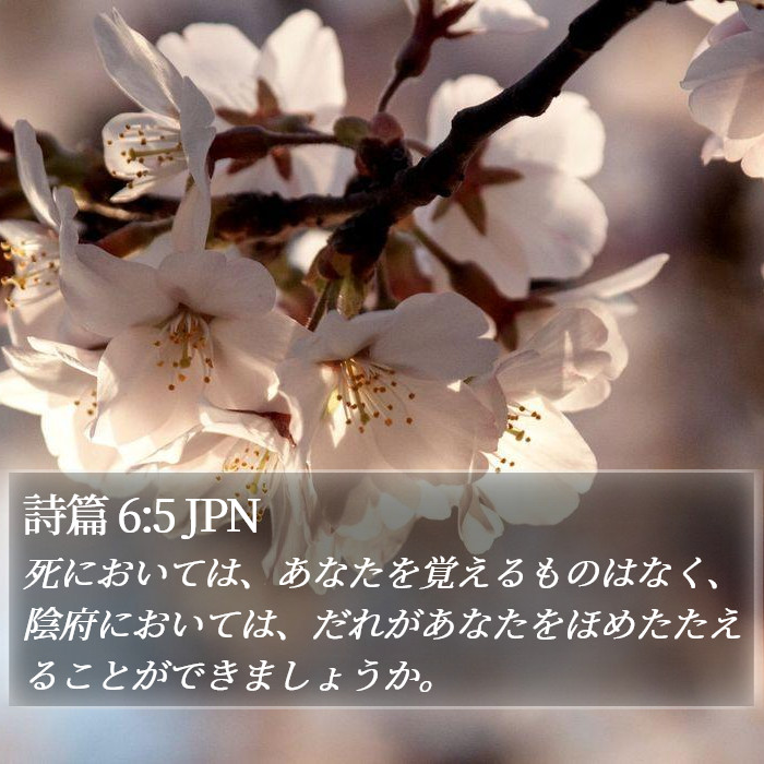 詩篇 6:5 JPN Bible Study