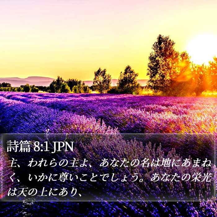 詩篇 8:1 JPN Bible Study