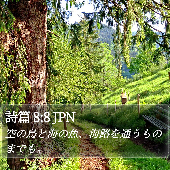 詩篇 8:8 JPN Bible Study