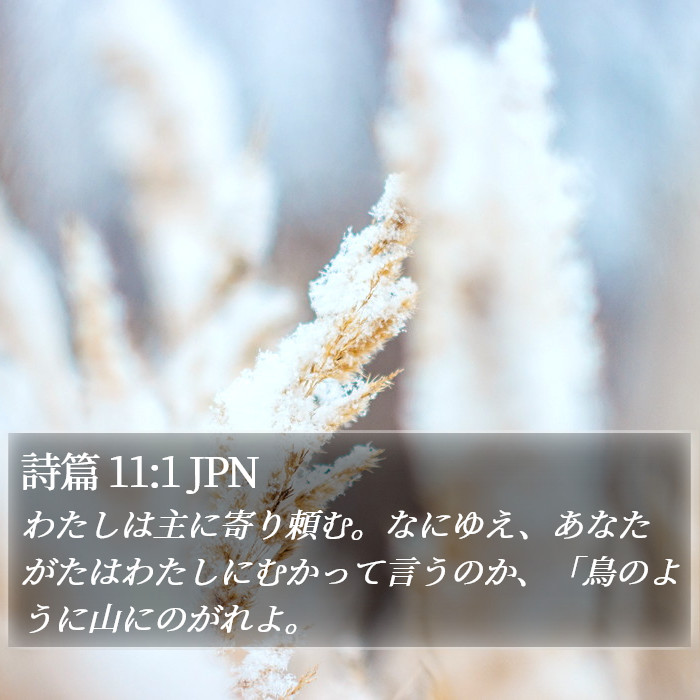 詩篇 11:1 JPN Bible Study