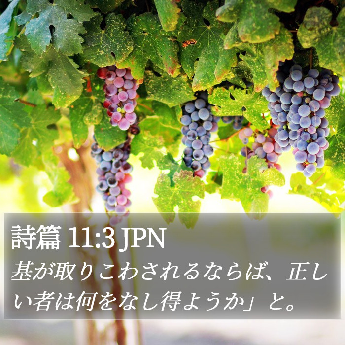 詩篇 11:3 JPN Bible Study