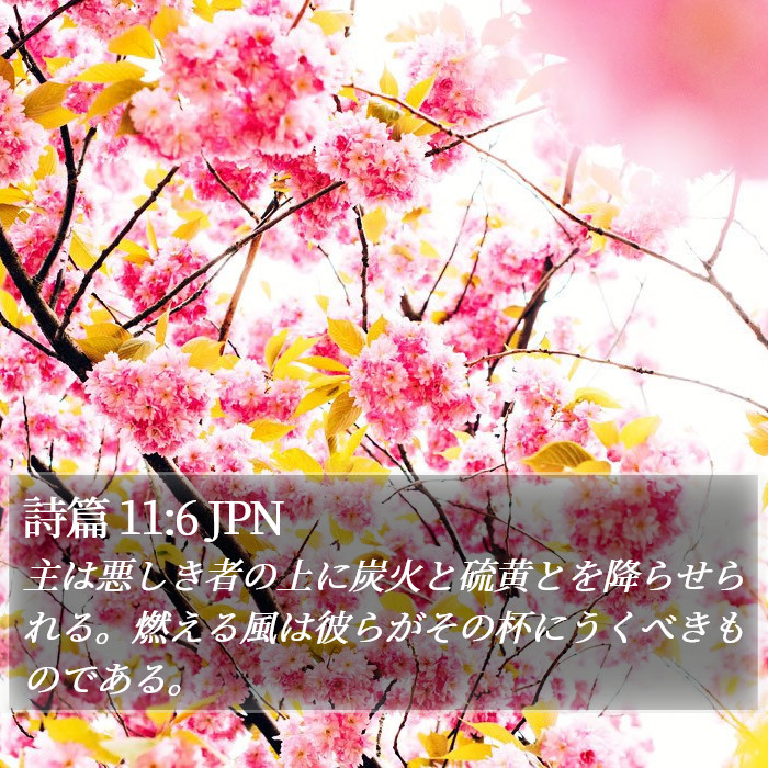 詩篇 11:6 JPN Bible Study