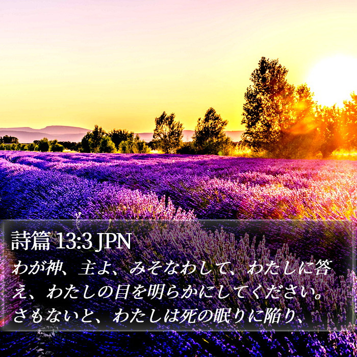 詩篇 13:3 JPN Bible Study