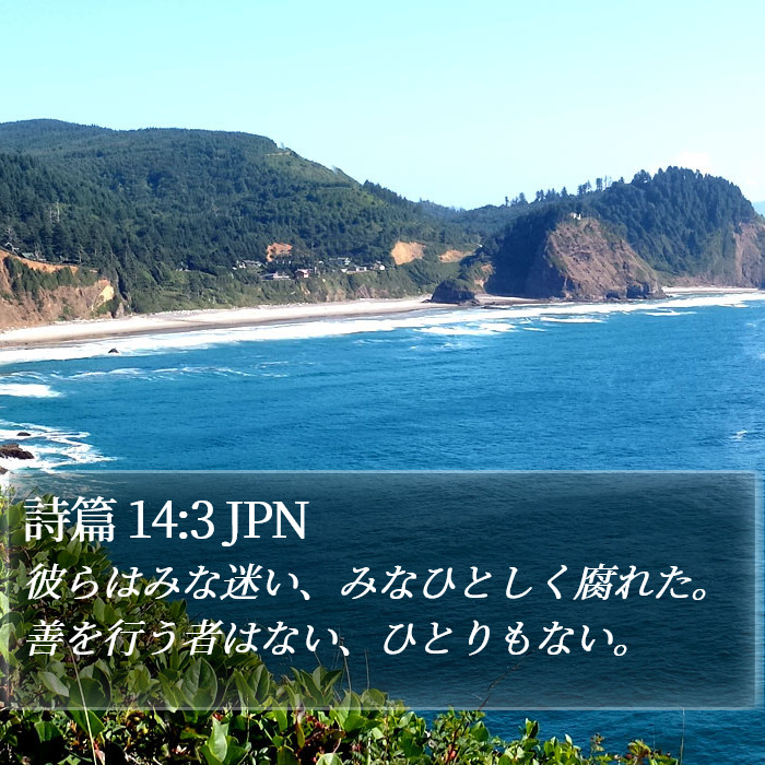 詩篇 14:3 JPN Bible Study