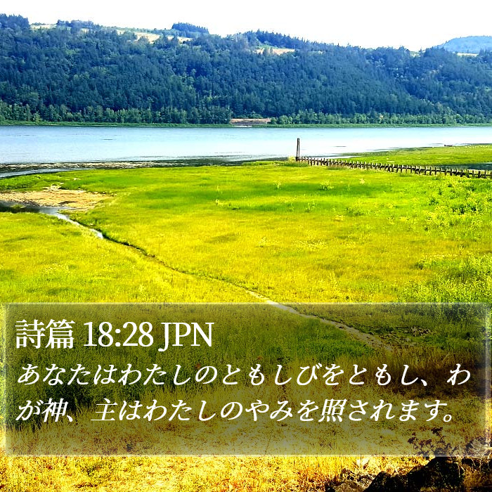 詩篇 18:28 JPN Bible Study