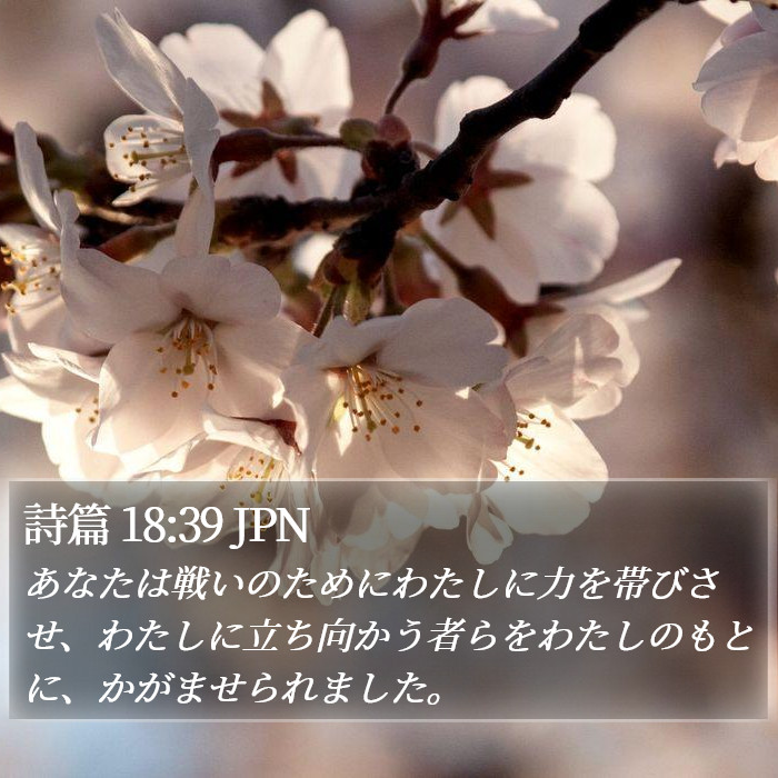 詩篇 18:39 JPN Bible Study