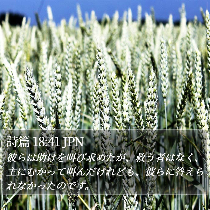 詩篇 18:41 JPN Bible Study