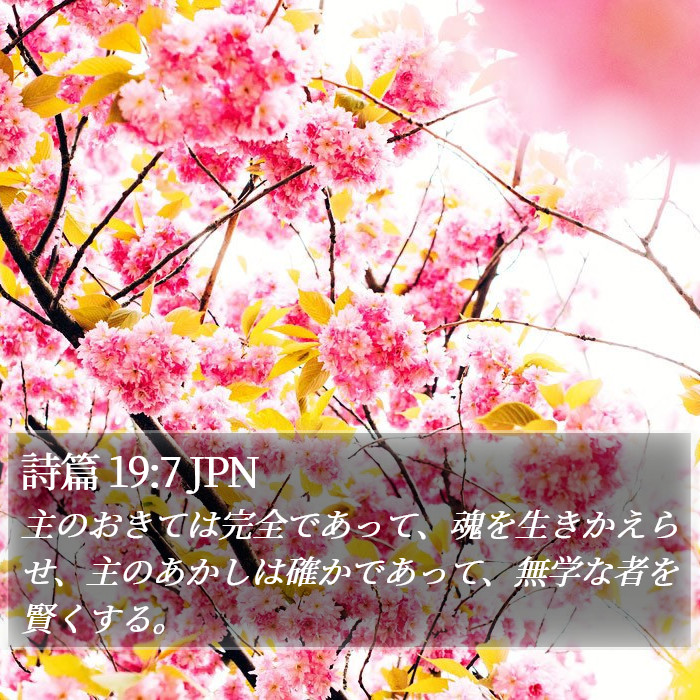 詩篇 19:7 JPN Bible Study