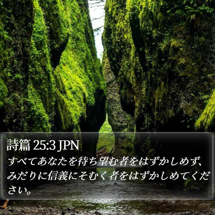 詩篇 25:3 JPN Bible Study